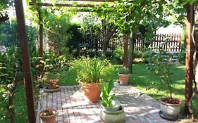 Bed And Breakfast Di Manu